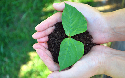 恒峰g22-官网入口--天天有惊喜